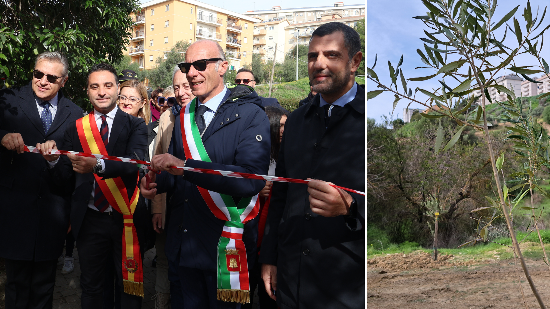 “Festa dell’Albero”: al parco “R. Assunto” piantumati 60 ulivi per i bambini nati nel 2024 